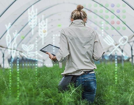 soil of composition Technology How Farm 5 Ways Is Transforming Digital Agriculture